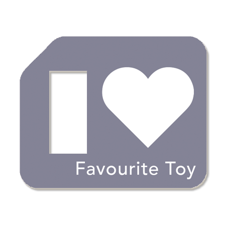 Favourite Toy Tag